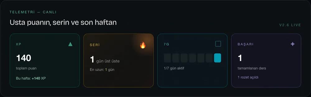 Panel telemetri şeridi: XP, seri, 7 gün, başarı